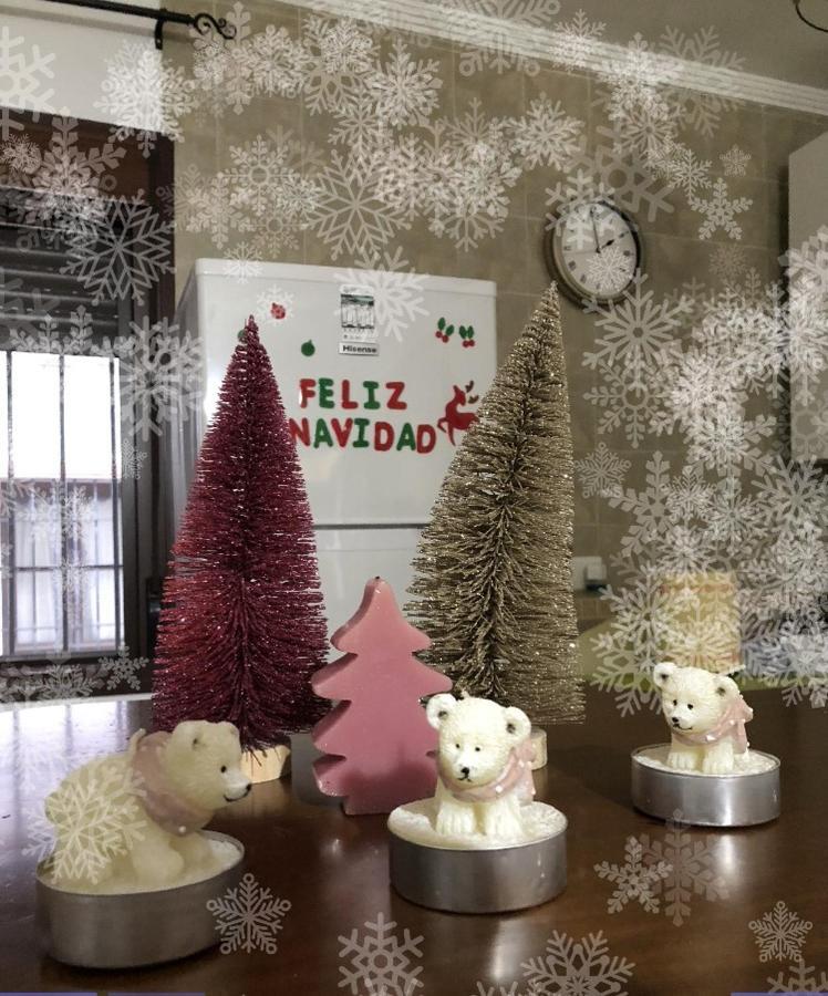 Apartamento Rural In&Ma-La Vida Es Hoy Grazalema Ngoại thất bức ảnh
